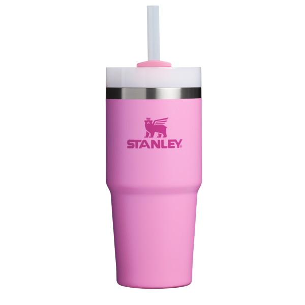 The Quencher H2.0 FlowState? Tumbler  | 14 OZ - Image 45