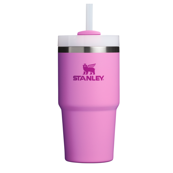 The Quencher H2.0 FlowState? Tumbler | 20 OZ - Image 62