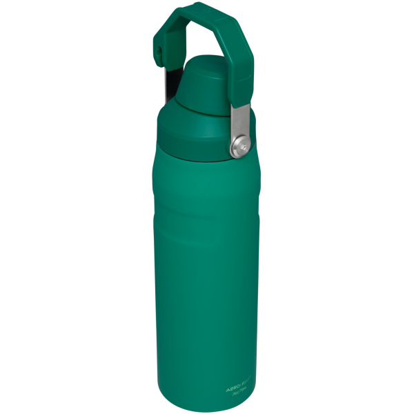 IceFlow™ Bottle with Fast Flow Lid | 24 OZ - Image 33