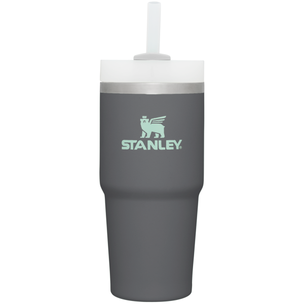 The Quencher H2.0 FlowState? Tumbler  | 14 OZ - Image 28