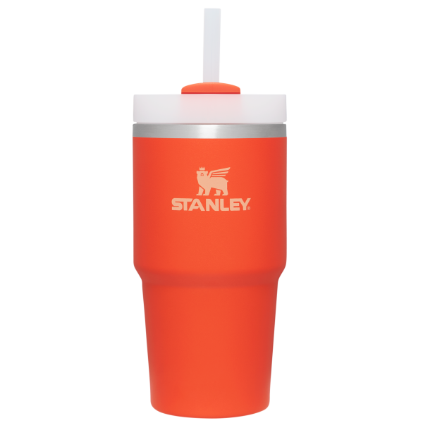 The Quencher H2.0 FlowState? Tumbler | 20 OZ - Image 34