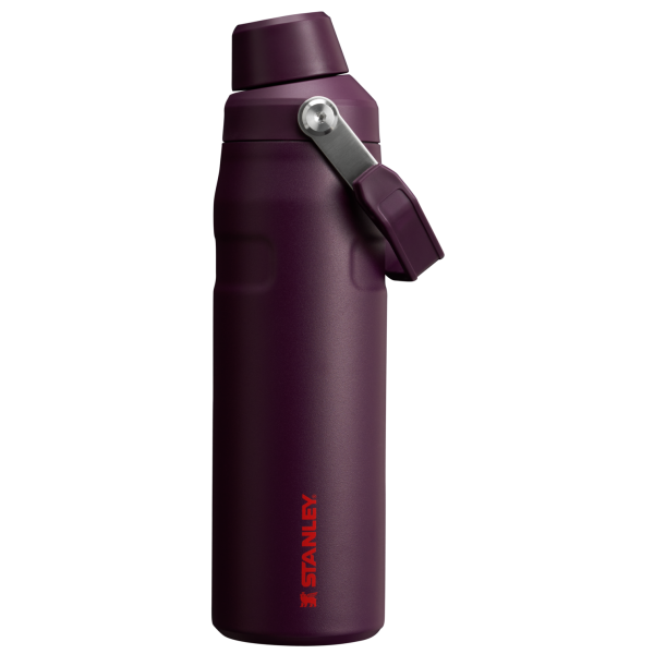 IceFlow™ Bottle with Fast Flow Lid | 24 OZ - Image 40