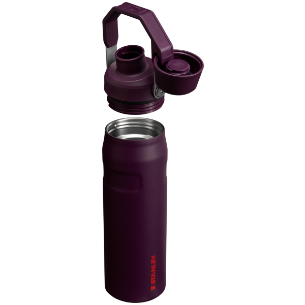 IceFlow™ Bottle with Fast Flow Lid | 24 OZ - Image 39