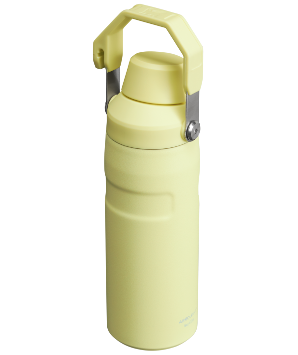 IceFlow™ Bottle with Fast Flow Lid | 16 OZ - Image 28