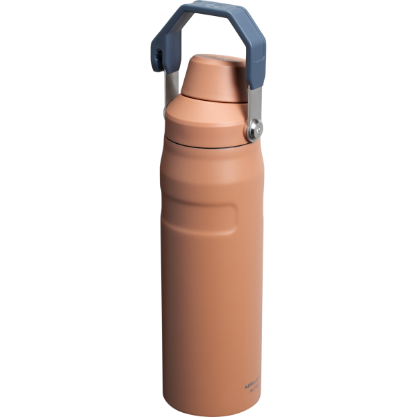 IceFlow™ Bottle with Fast Flow Lid | 24 OZ - Image 69