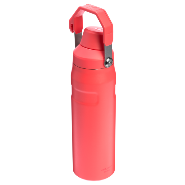 IceFlow™ Bottle with Fast Flow Lid | 24 OZ - Image 89