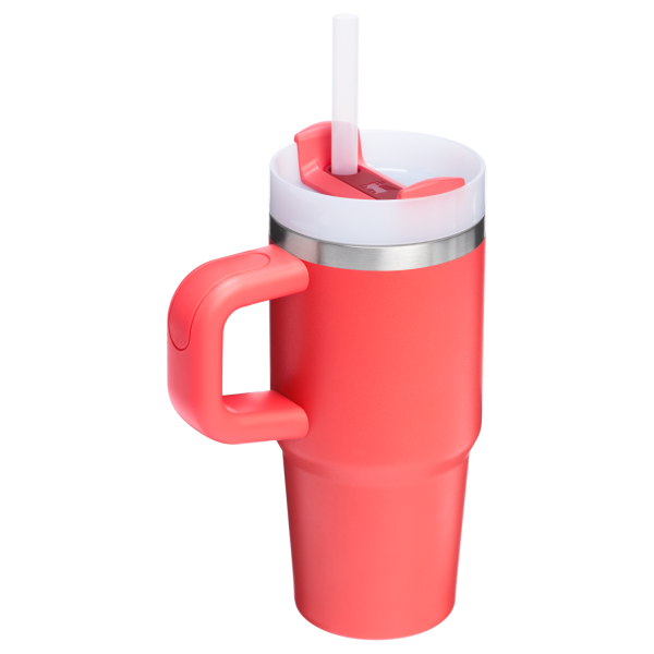 The Quencher H2.O FlowState? Tumbler | 14 OZ - Image 44