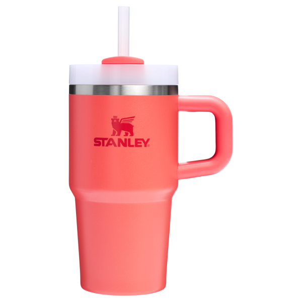 The Quencher H2.O FlowState? Tumbler | 20 OZ - Image 53
