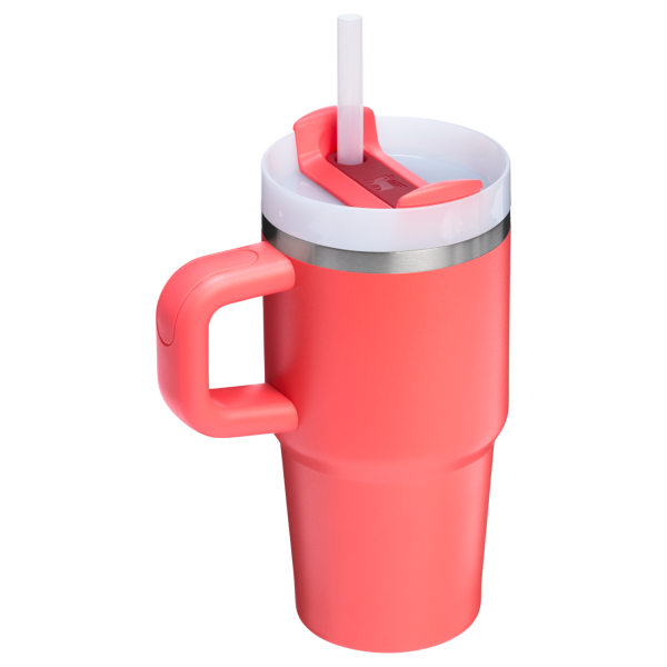 The Quencher H2.O FlowState? Tumbler | 20 OZ - Image 51