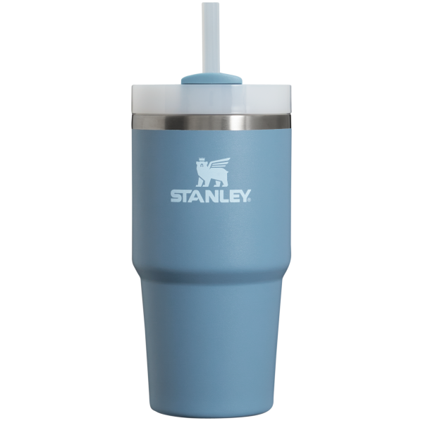The Quencher H2.0 FlowState? Tumbler | 20 OZ - Image 89