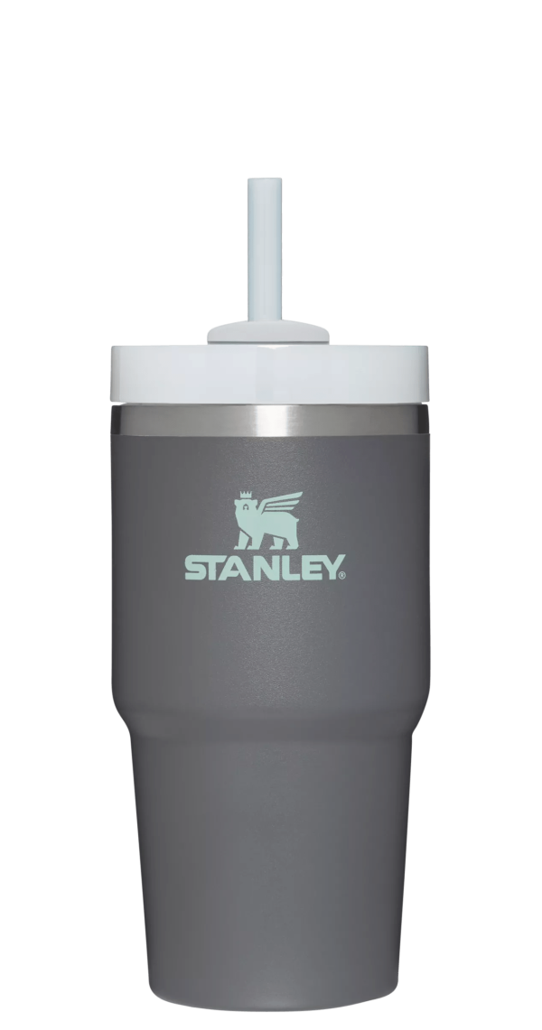 The Quencher H2.0 FlowState? Tumbler | 20 OZ - Image 52